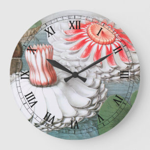 Grande Horloge Ronde Fleurs Nénuphars vintages dans un étang de jardin