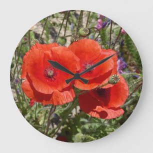 GRANDE HORLOGE RONDE FLEURS POPPY