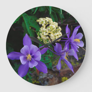 Grande Horloge Ronde Fleurs sauvages de Columbine