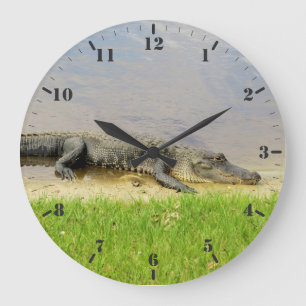 Grande Horloge Ronde Floride alligator Nice and quiet
