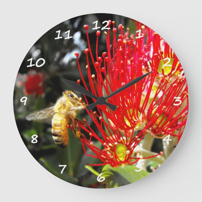 Grande Horloge Ronde Flowering Pohutukawa Tree (Recto)