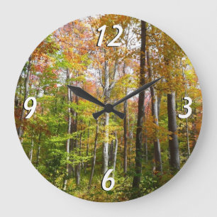 Grande Horloge Ronde Forêt d'automne I Photographie de paysage automnal