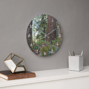 Grande Horloge Ronde Forêt de conifères de sapin de Douglas