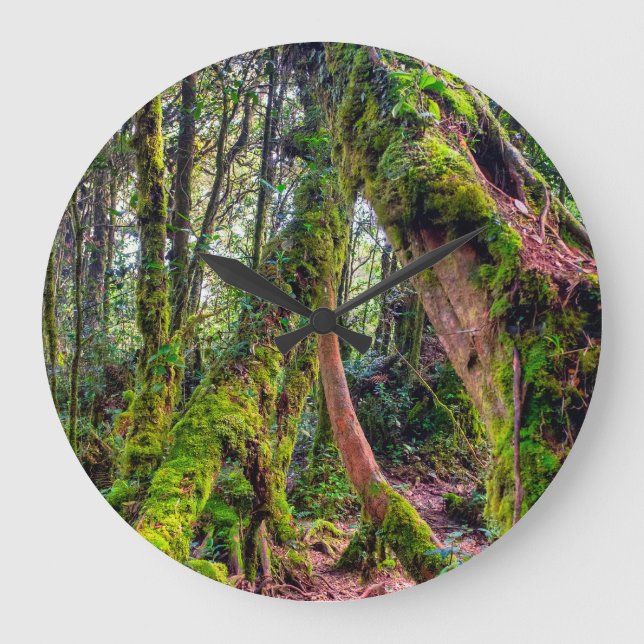 Grande Horloge Ronde Forêt moussue (Recto)