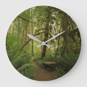Grande Horloge Ronde Forêt paisible dans le parc national des Cascades 