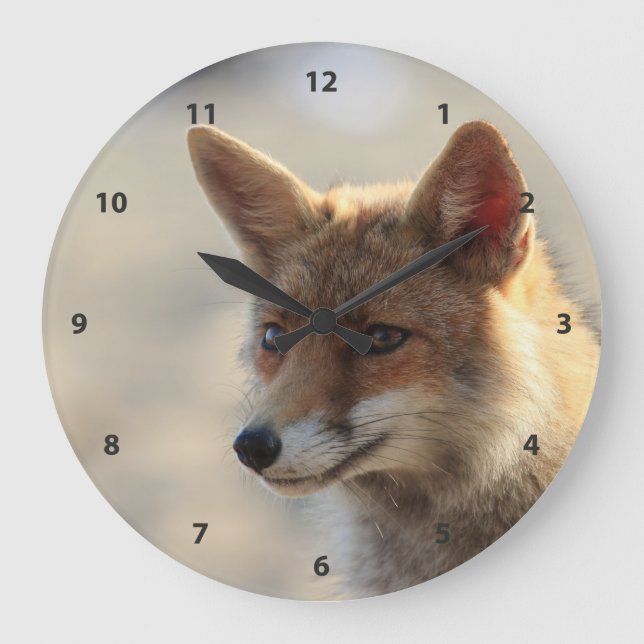 Grande Horloge Ronde Fox (Recto)
