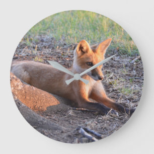 Grande Horloge Ronde Fox dans Sunlight