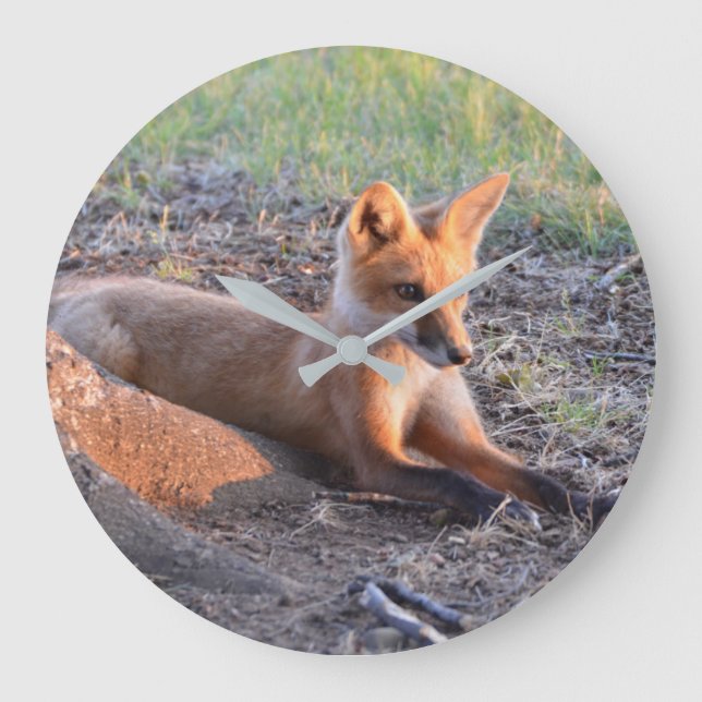 Grande Horloge Ronde Fox dans Sunlight (Recto)