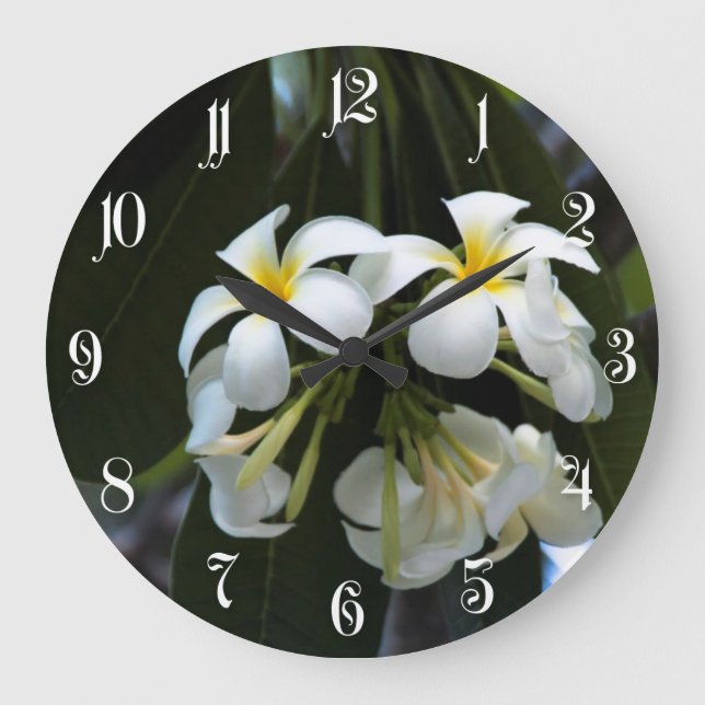 Grande Horloge Ronde Frangipani flowers (Recto)
