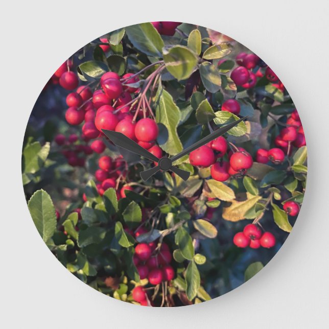 Grande Horloge Ronde Fruit d'automne (Recto)