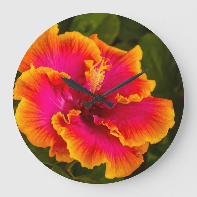 Grande Horloge Ronde Fuchsia hawaïenne et Hibiscus orange de Kauai (Recto)