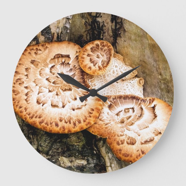 GRANDE HORLOGE RONDE FUNGI (Recto)