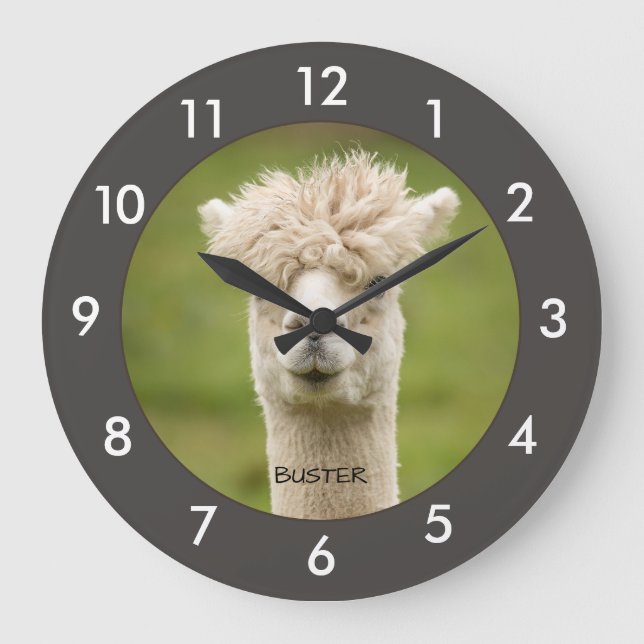 Grande Horloge Ronde Funny Alpaca (Recto)