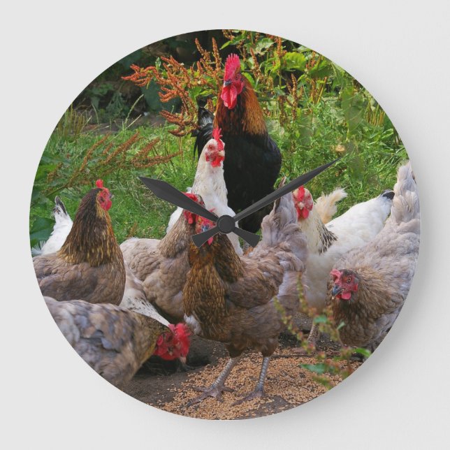 Grande Horloge Ronde Funny Farmyard Chickens (Recto)
