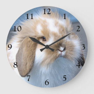Grande Horloge Ronde Fuzzy Holland Mini Dwarf Lop Bunny Rabbit