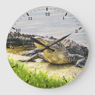 Grande Horloge Ronde Gator