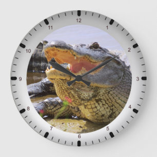 Grande Horloge Ronde Gator