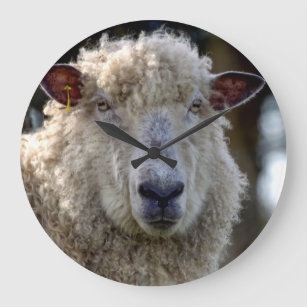 Grande Horloge Ronde "George" l'horloge de photo de moutons