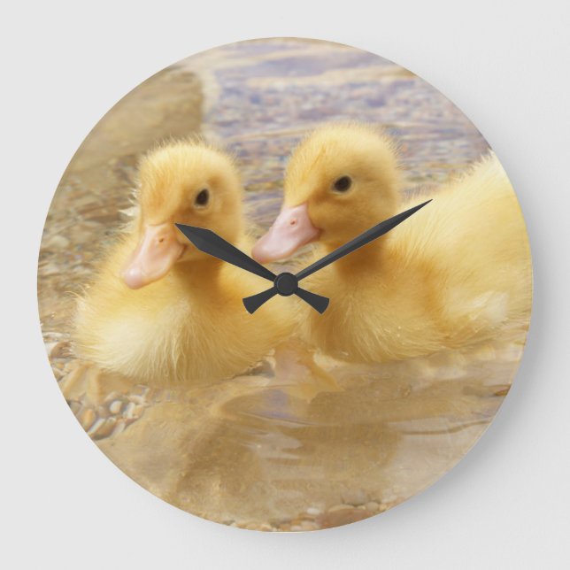 Grande Horloge Ronde Getty Images | Fuzzy Yellow Ducklings (Recto)