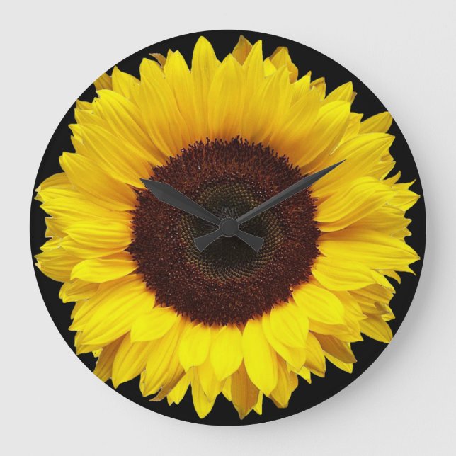 Grande Horloge Ronde Giant Yellow Garden Sunflower on Black Background (Recto)