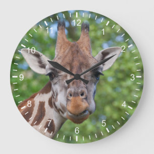 Grande Horloge Ronde Girafe attentive