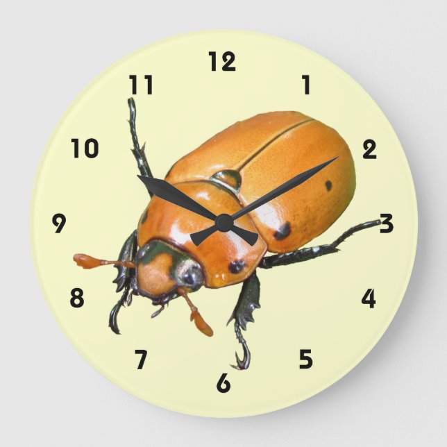 Grande Horloge Ronde Grapevine Beetle (Recto)