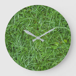 Grande Horloge Ronde green