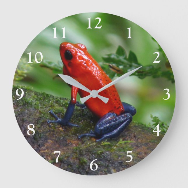 Grande Horloge Ronde Grenouille rouge et bleu poison (Recto)