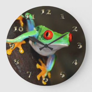 Grande Horloge Ronde Grenouille tropicale de Red Eye - Agalychnis