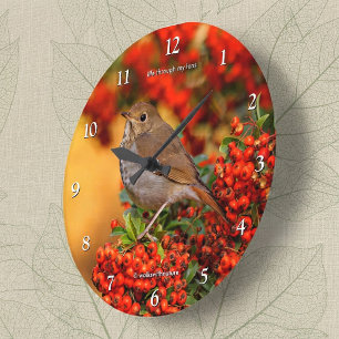 Grande Horloge Ronde Grive solitaire sur le Pyracantha à Feu Rouge