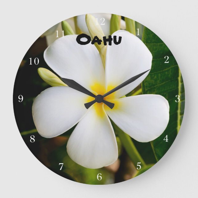 Grande Horloge Ronde Hawaii Plumeria (Recto)