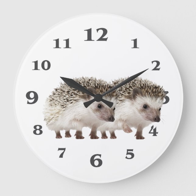 Grande Horloge Ronde Hedgehog Image for Acrylic Wall Clock (Recto)