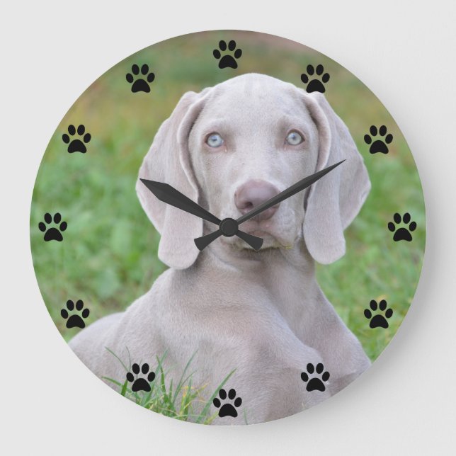 Grande Horloge Ronde Heure Empreinte de patte Weimaraner Chien Chien Ch (Recto)