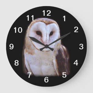 Grande Horloge Ronde hibou