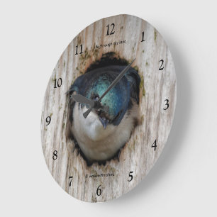 Grande Horloge Ronde Hirondelle bicolore dans un nichoir