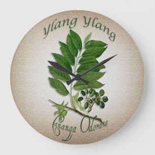 Grande Horloge Ronde Horaire de thérapie aromatique Ylang-Ylang