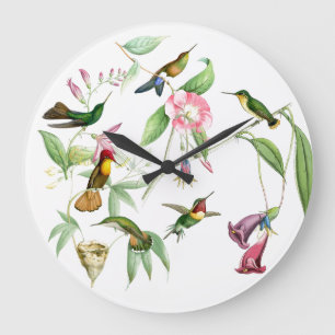 Grande Horloge Ronde Hummingbirds Fleurs Oiseaux Faune Animaux Floraux