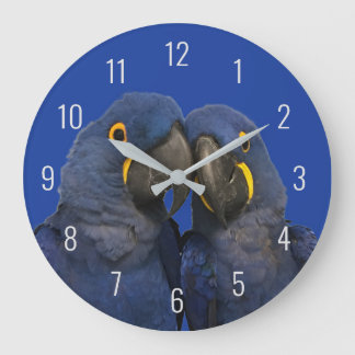 Grande Horloge Ronde Hyacinth Macaw