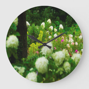 Grande Horloge Ronde Hydrangeas Limelight dans mon jardin Rubio