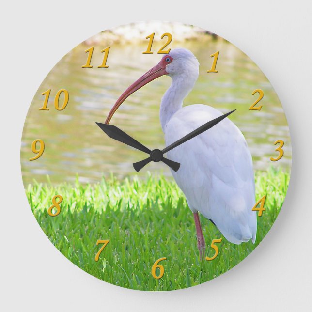 Grande Horloge Ronde Ibis Sur Une Jambe Photo (Recto)