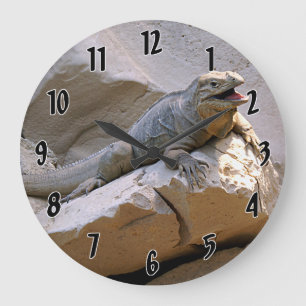 Grande Horloge Ronde Iguane de rhinocéros