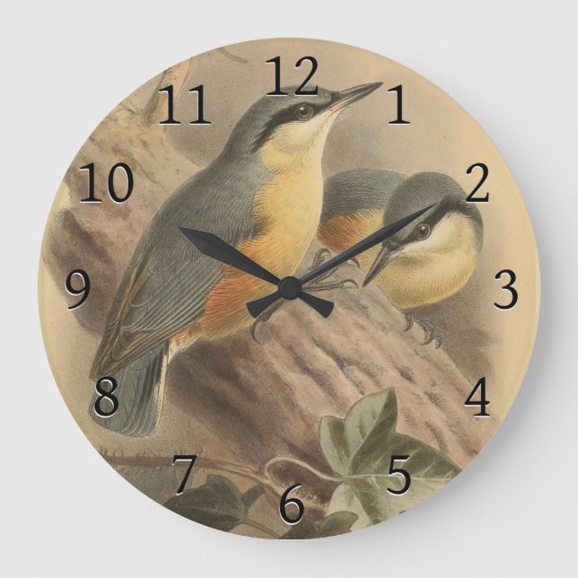 Grande Horloge Ronde Illustration vintage de Nuthatch (Recto)