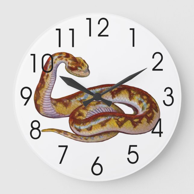 Grande Horloge Ronde Illustration vintage de serpent (Recto)