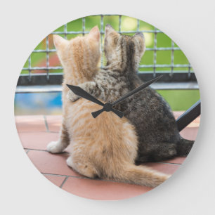 Grande Horloge Ronde Images de Getty   deux chatons sur un balcon