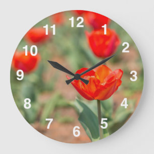 Grande Horloge Ronde Jardin des Tulipes rouges