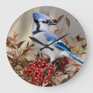 Grande Horloge Ronde Jay Bleu à Nandina Bambou paradisiaque