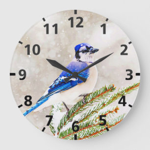 Grande Horloge Ronde Jay bleu dans un pin avec neige