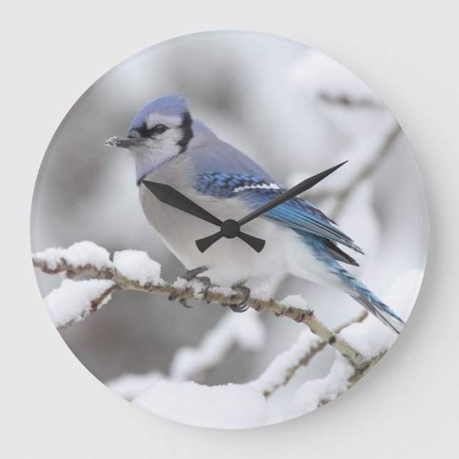 Grande Horloge Ronde Jay bleu hiver (Recto)