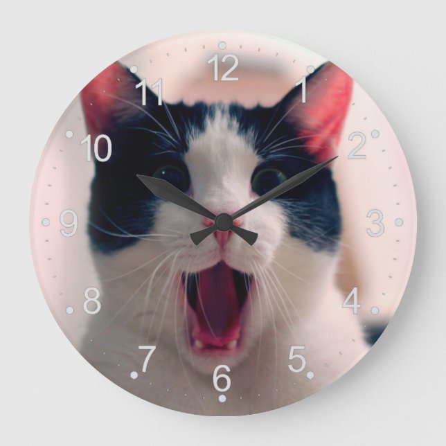 Grande Horloge Ronde Jeune chat surpris fou faire de grands yeux (Recto)