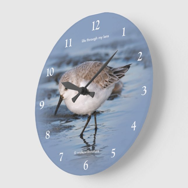 Grande Horloge Ronde Joli Bécasseau Sanderling Errant sur une Plage Hiv (Angle)